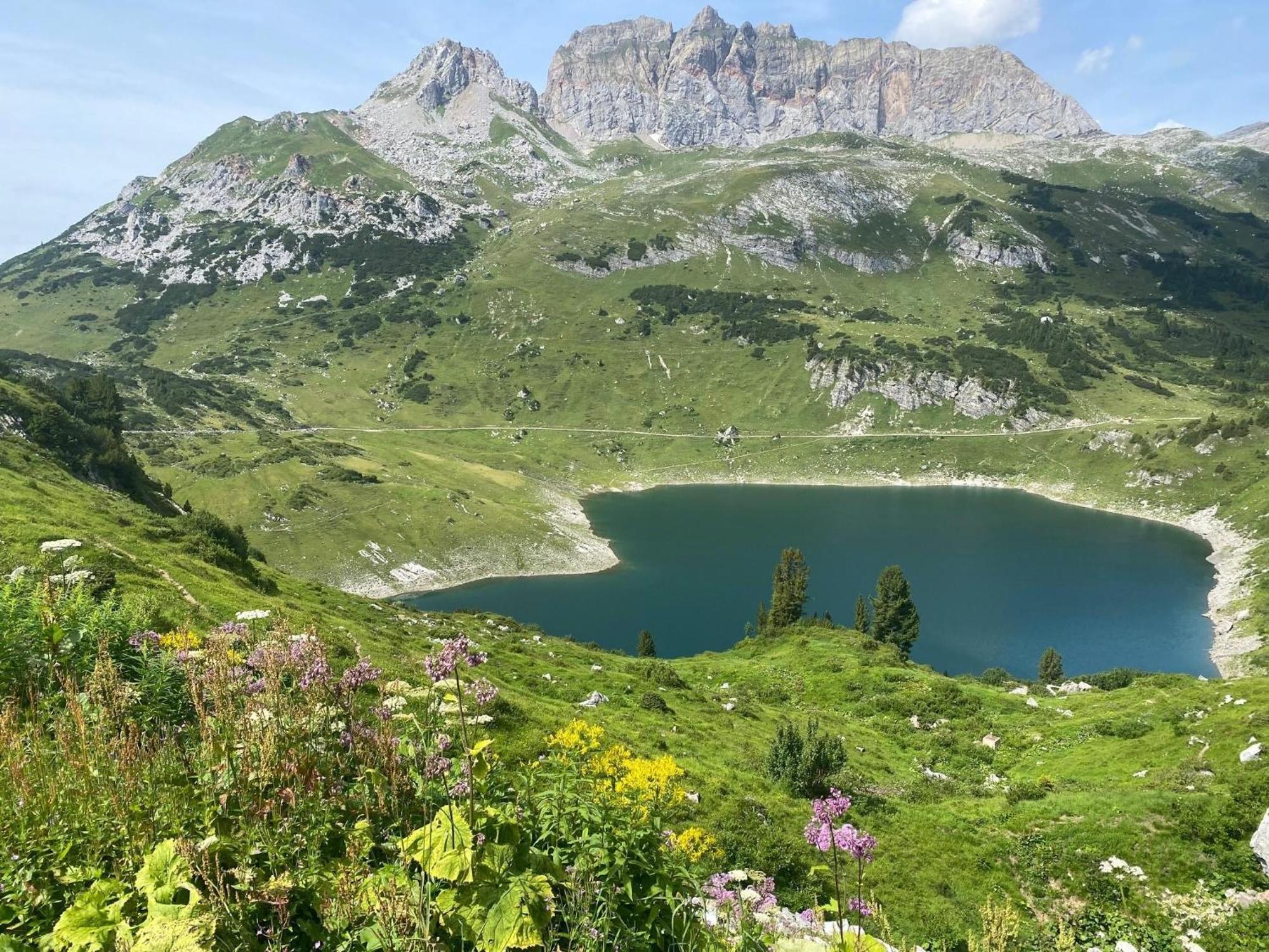 Haus Maschol Apartman Wald am Arlberg Kültér fotó